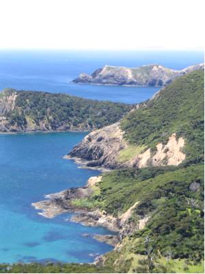 View from the Cape Brett Trail