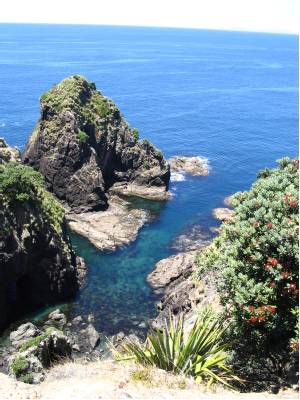 View from the Cavalli Islands trail
