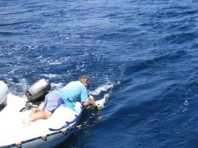 Bradley stuggles to free the bird