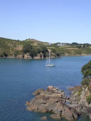 Shear Madness at anchor at Waiheke Island