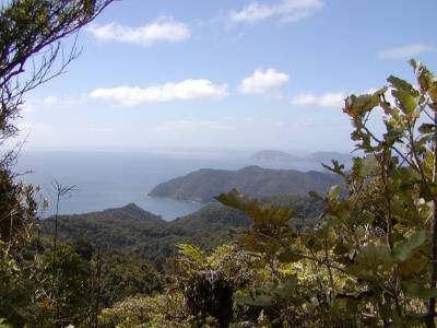 View from Mt. Hobson on Great Barrier Island