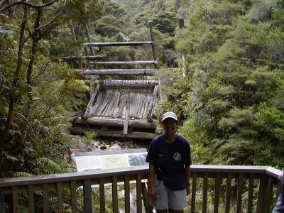 Kathy at the Kauri Dam on Great Barrier Island