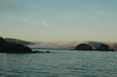 Fog at Whangaroa