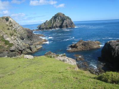 View from Stephenson Island