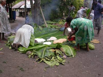 The village prepares laplap for the wedding feast