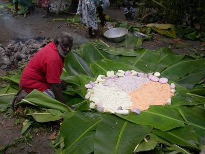 Laplap - bottom layer