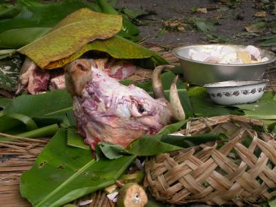 Not a good day for the bull