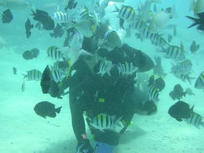 Kathy is besieged by friendly fish