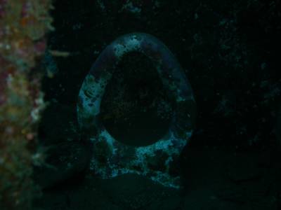 A toilet seat on the Coolidge