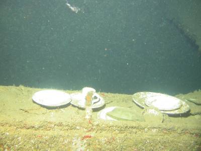 More dinnerware from the Coolidge