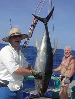 An 80 pound yellowfin tuna