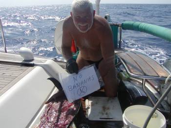 The tuna gets ready for dinner