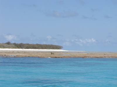 North West Island and its reef at low tide