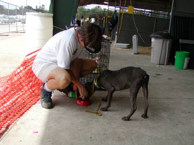 Kathy feeds one of the thin ones